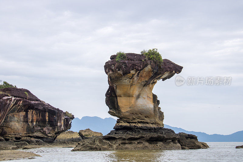 马来西亚:Bako NP的海上堆栈·全球之声